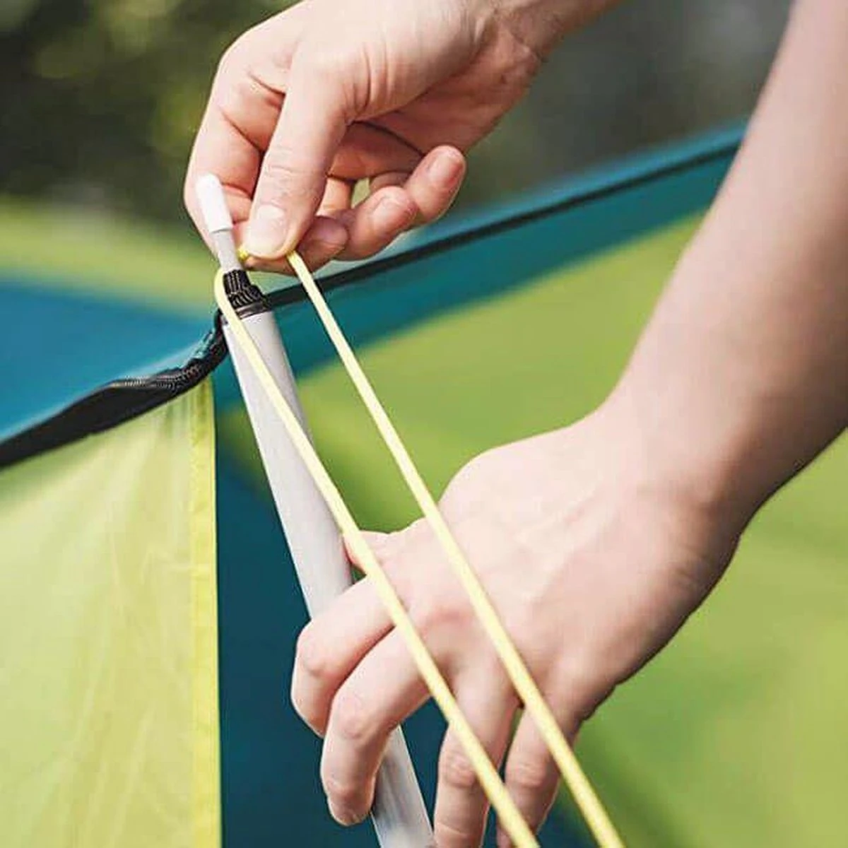 Pavillo Tent Coolground X3 Luifel - Groen - 3 Persoons 6 Pavillo Tent Coolground X3 Luifel - Groen - 3 Persoons - Afbeelding 6