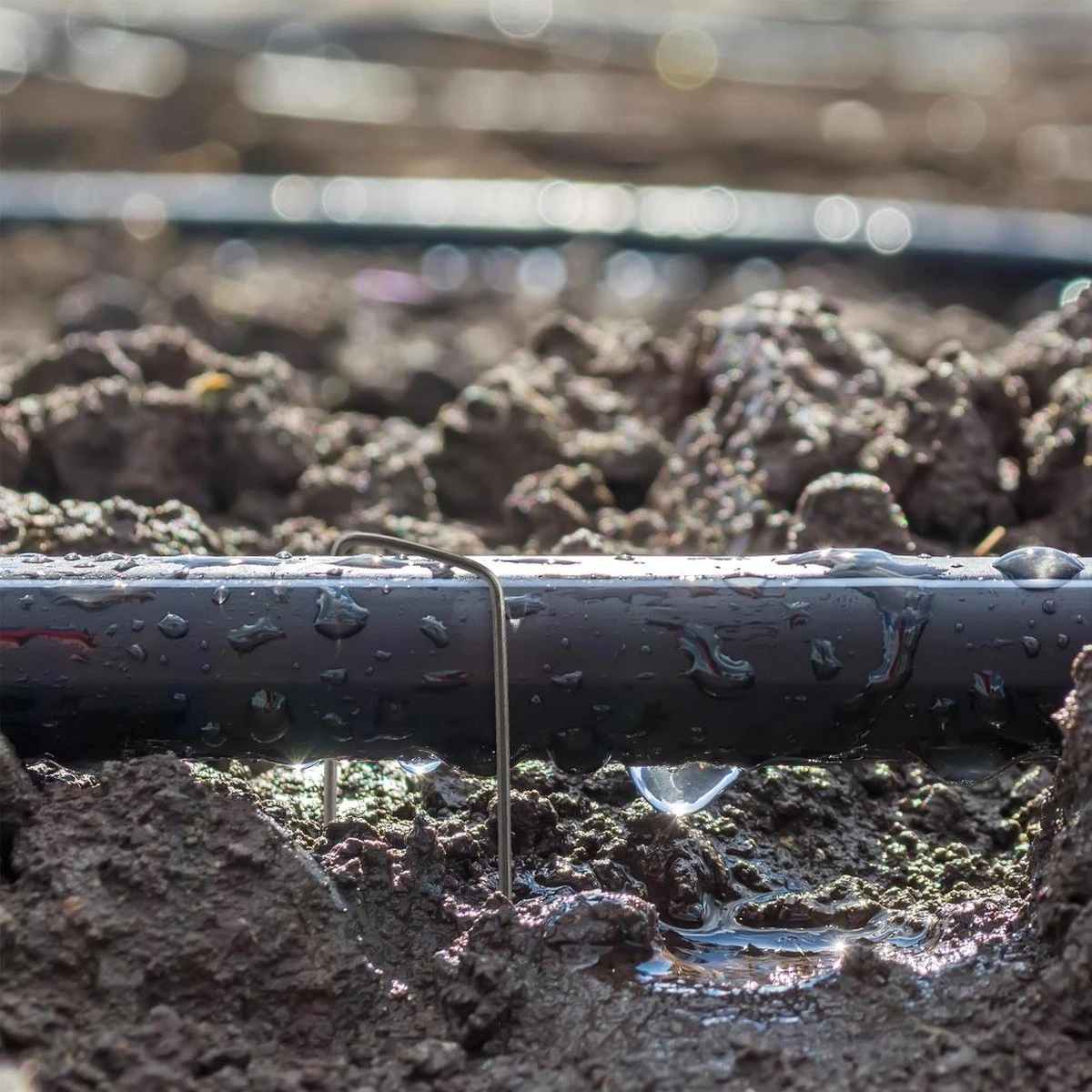 Relaxdays 200x Gronddoekpen - Grondanker - Haring - Gronddoekhaak - Grondhaken - 2mm 2 Relaxdays 200x Gronddoekpen - Grondanker - Haring - Gronddoekhaak - Grondhaken - 2mm - Afbeelding 2