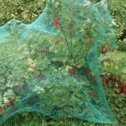 Relaxdays 200x Gronddoekpen - Grondanker - Haring - Gronddoekhaak - Grondhaken - 2mm 10 Relaxdays 200x Gronddoekpen - Grondanker - Haring - Gronddoekhaak - Grondhaken - 2mm -Kampeeruitrusting 1200x1200 673