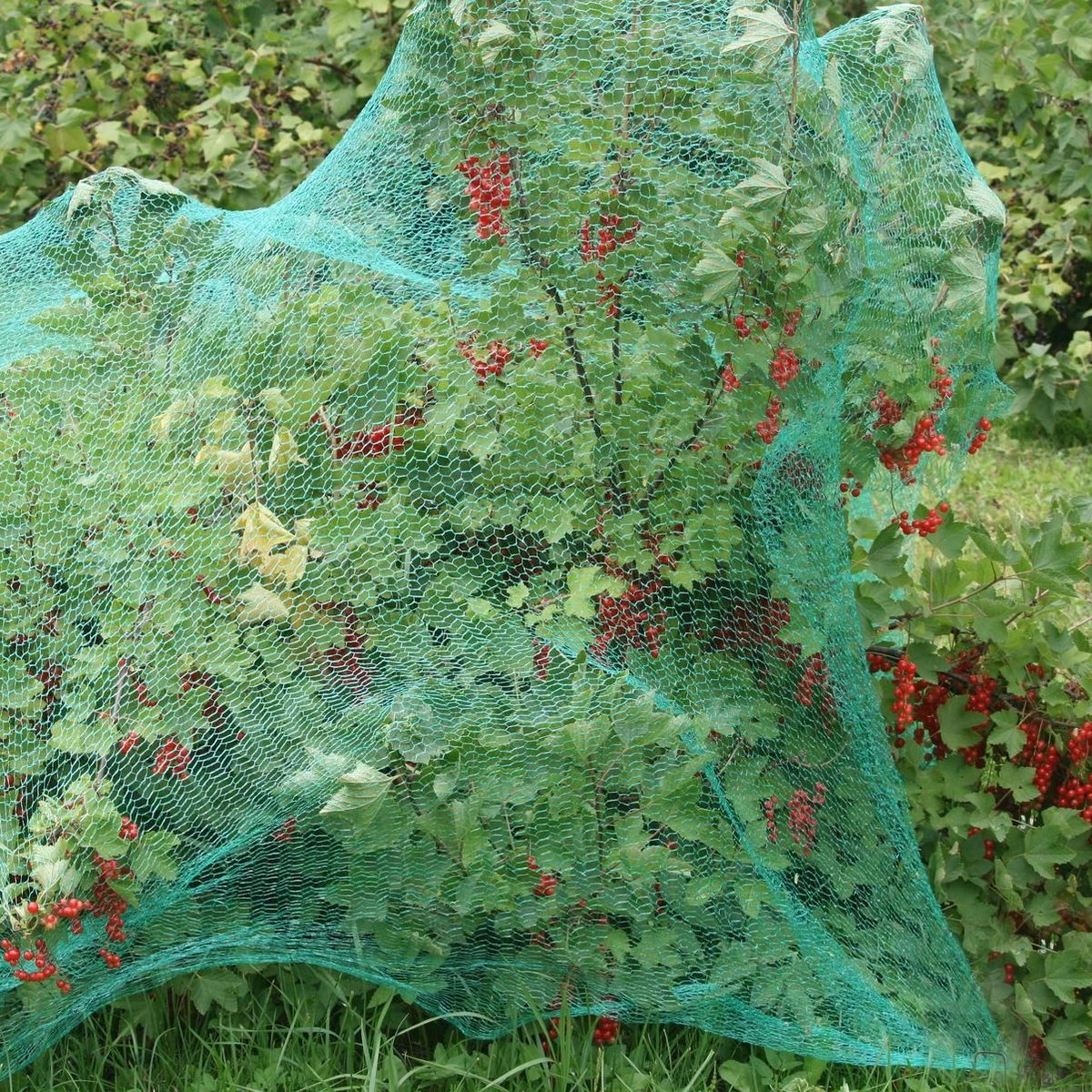 Relaxdays 200x Gronddoekpen - Grondanker - Haring - Gronddoekhaak - Grondhaken - 2mm 3 Relaxdays 200x Gronddoekpen - Grondanker - Haring - Gronddoekhaak - Grondhaken - 2mm - Afbeelding 3