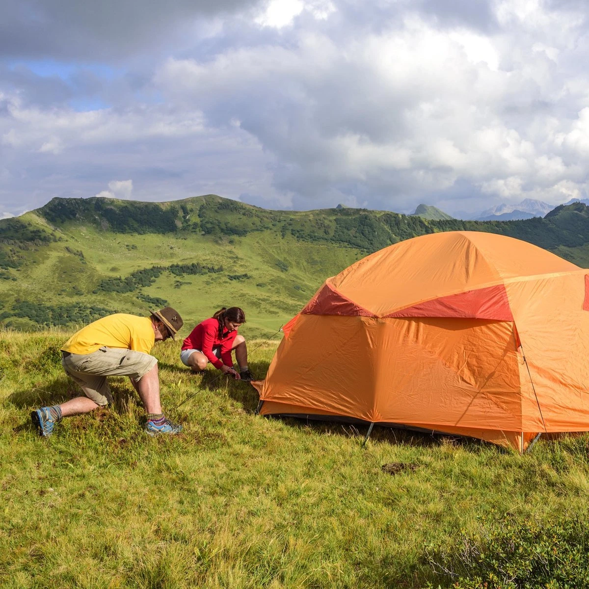 Relaxdays 200x Gronddoekpen - Grondanker - Haring - Gronddoekhaak - Grondhaken - 2mm 5 Relaxdays 200x Gronddoekpen - Grondanker - Haring - Gronddoekhaak - Grondhaken - 2mm - Afbeelding 5