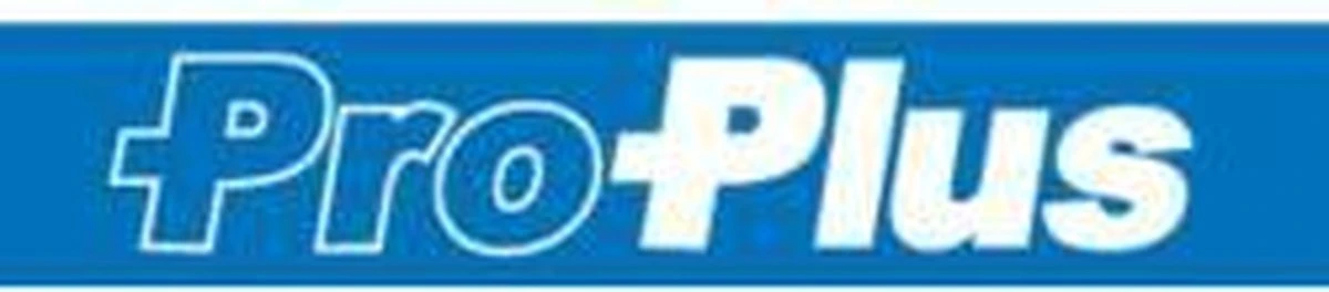 PROPLUS Pro Plus Aanlegspiraal - Hondenpen Met Handvat En Ring - Lengte 39 Cm 2 PROPLUS Pro Plus Aanlegspiraal - Hondenpen Met Handvat En Ring - Lengte 39 Cm - Afbeelding 2