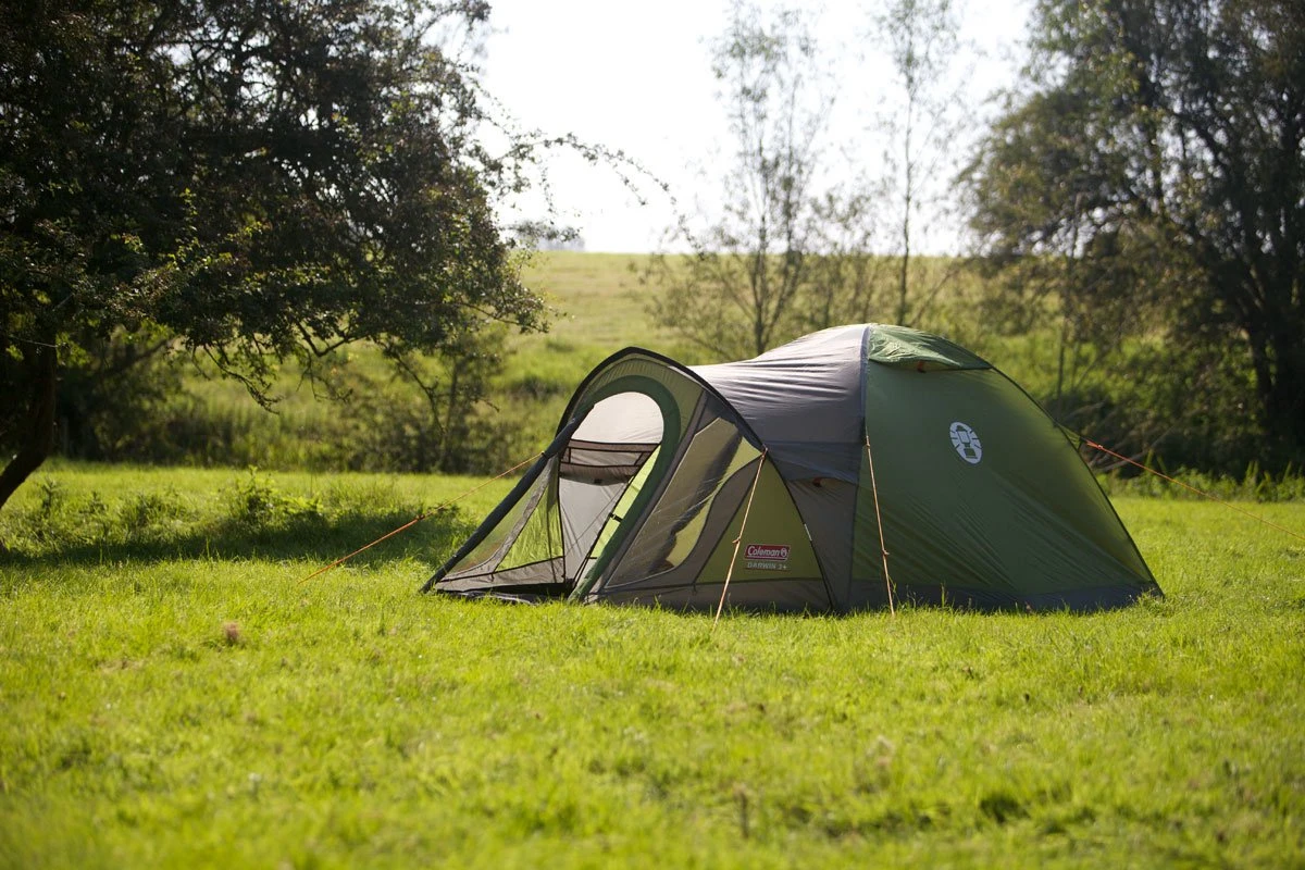 Coleman Darwin 3 Plus Koepeltent - 3-Persoons - Groen 9 Coleman Darwin 3 Plus Koepeltent - 3-Persoons - Groen - Afbeelding 9