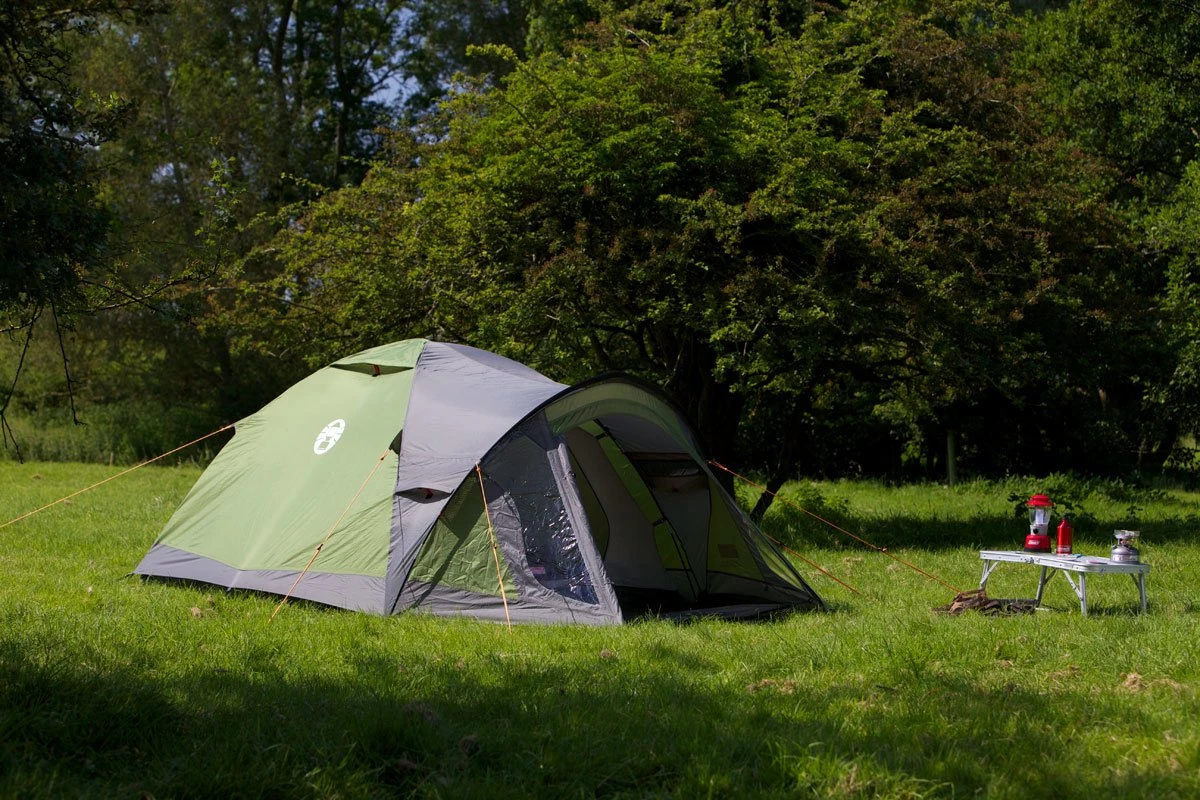Coleman Darwin 3 Plus Koepeltent - 3-Persoons - Groen 11 Coleman Darwin 3 Plus Koepeltent - 3-Persoons - Groen - Afbeelding 11