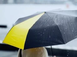 Sanplu® Original Stormparaplu - Opvouwbaar - Inklapbaar - Stormbestendig - Incl. Tas -Kampeeruitrusting 1200x899 6