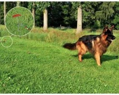 PROPLUS Pro Plus Aanlegspiraal - Hondenpen Met Handvat En Ring - Lengte 39 Cm 9 PROPLUS Pro Plus Aanlegspiraal - Hondenpen Met Handvat En Ring - Lengte 39 Cm -Kampeeruitrusting 1200x959