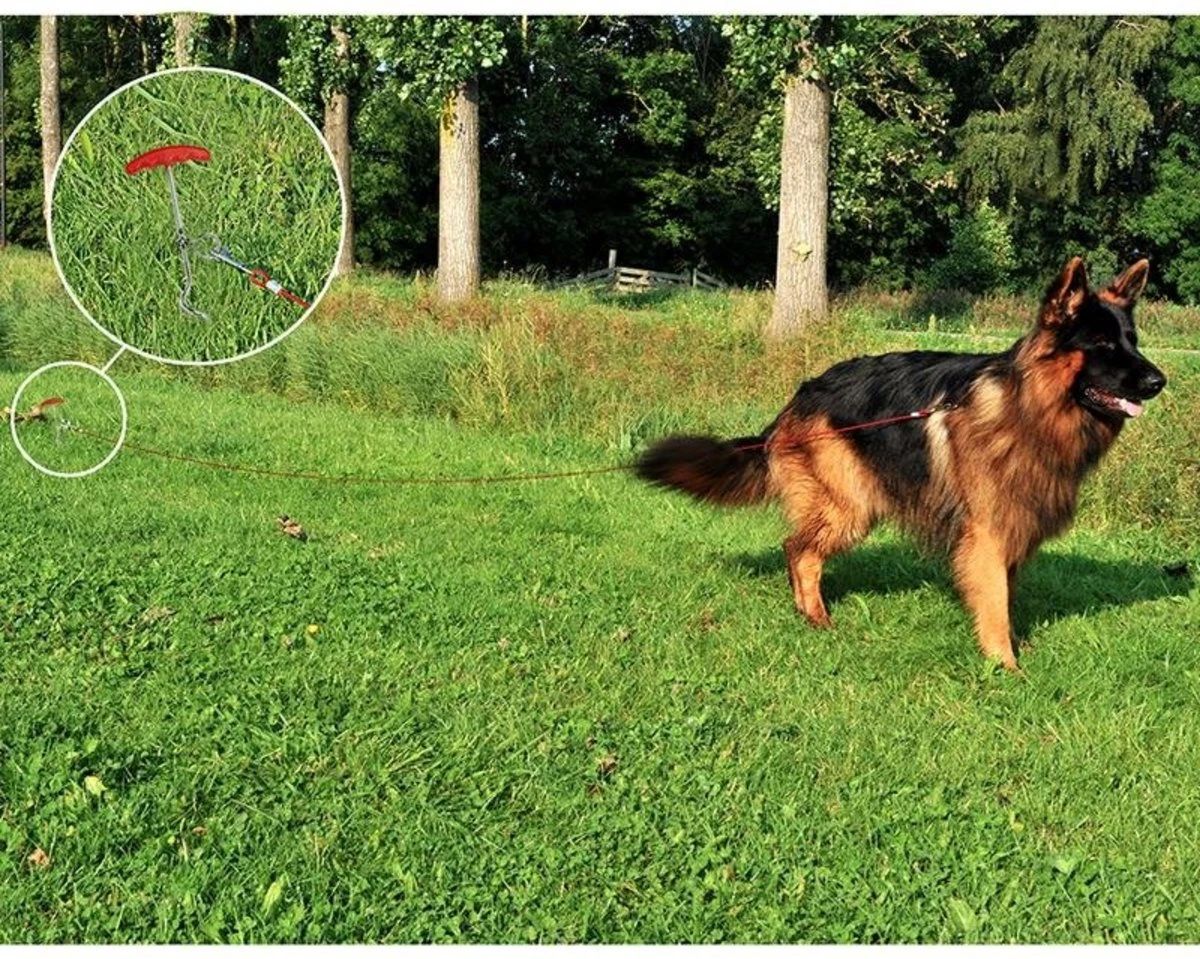 PROPLUS Pro Plus Aanlegspiraal - Hondenpen Met Handvat En Ring - Lengte 39 Cm 3 PROPLUS Pro Plus Aanlegspiraal - Hondenpen Met Handvat En Ring - Lengte 39 Cm - Afbeelding 3