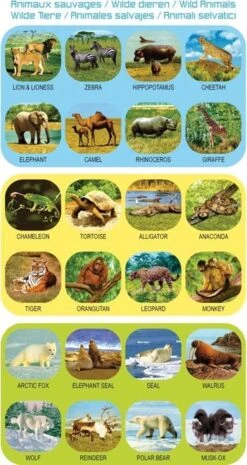 GEOKIDS: Projectiezaklamp/Wilde Dieren -Kampeeruitrusting 637x1200 4