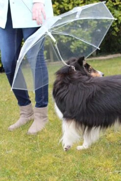 United Entertainment - Honden Paraplu - Wit -Kampeeruitrusting 800x1200 20